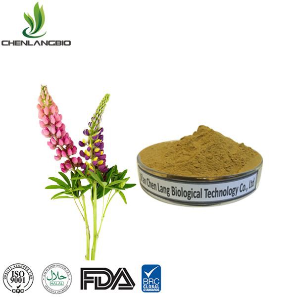 Lupinus albus extract.jpg