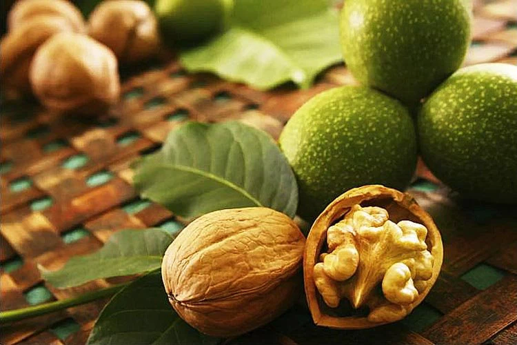 walnut-extract