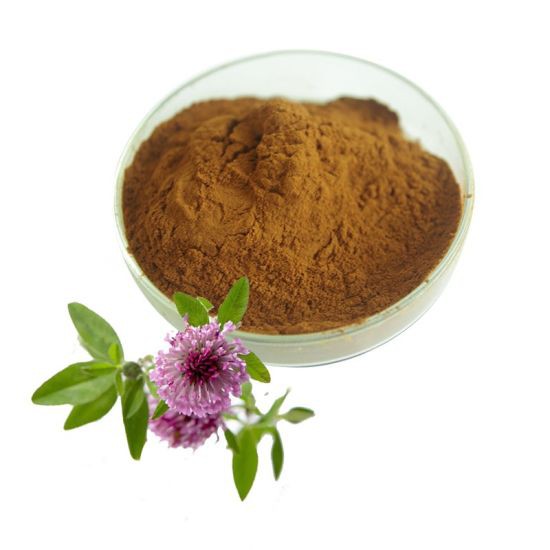 Red-Clover-Flower-Extract-Powder