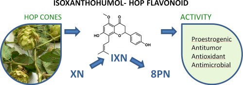 Hops-Flavonoids