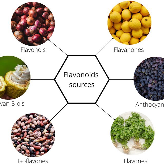 Flavonoids-food