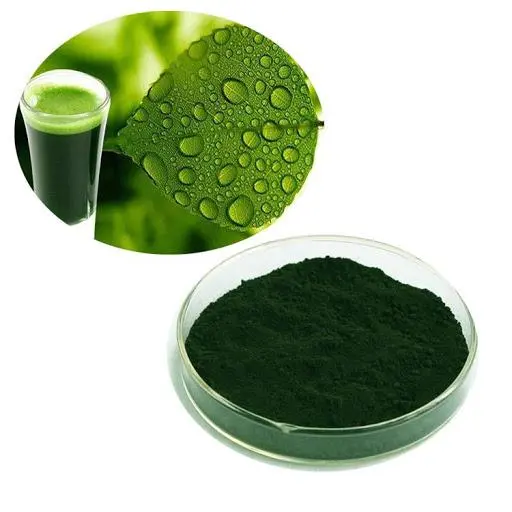 Sodium-Copper-Chlorophyllin-powder.jpg