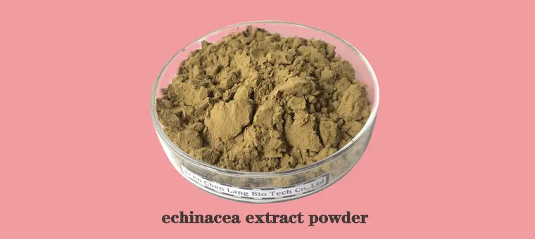 echinacea-extract-p.gif