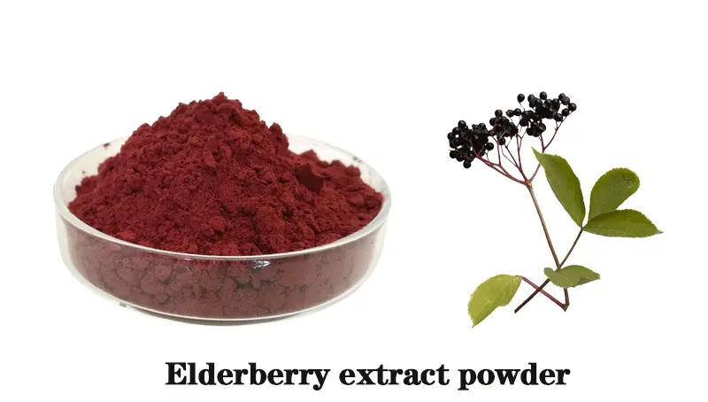 Elderberry-extract.gif