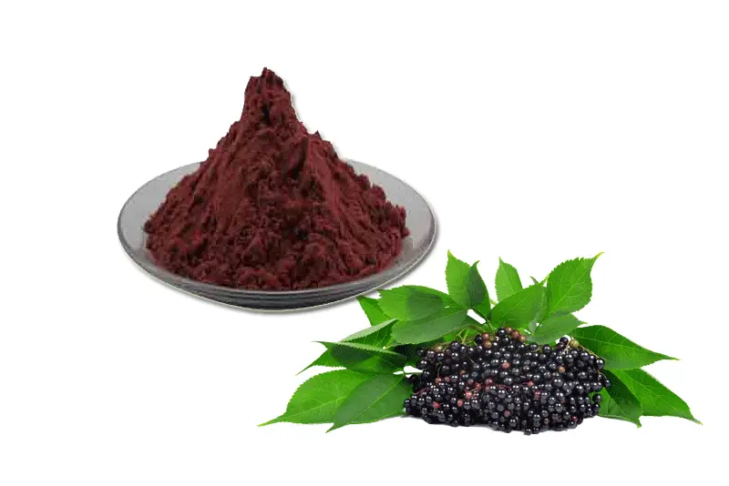 elderberry-extra.gif