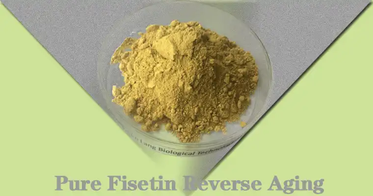 Fisetin-Reverse-Aging.gif