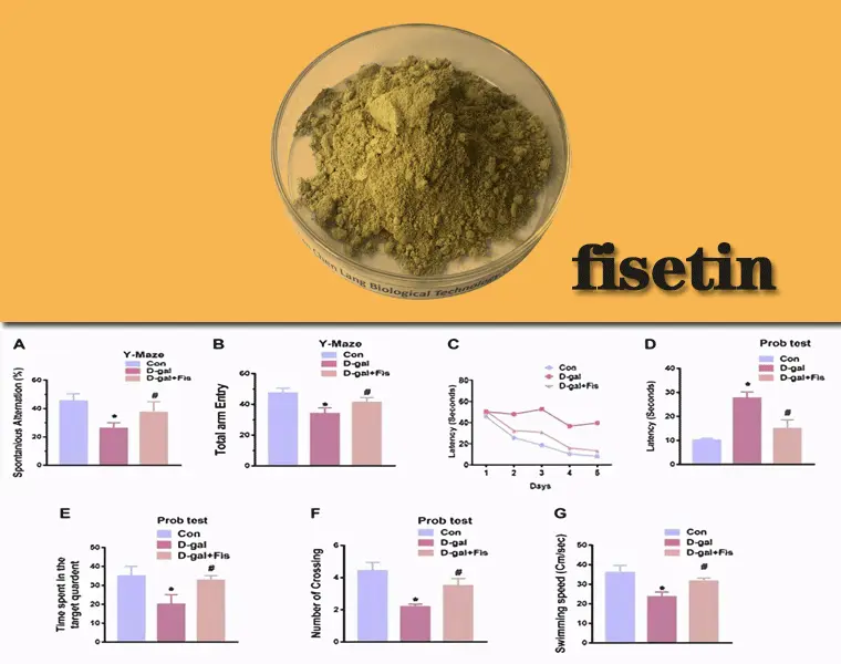 fisetin-j.gif