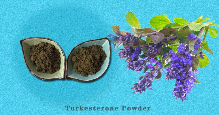 Turkesterone-Powder-b.gif