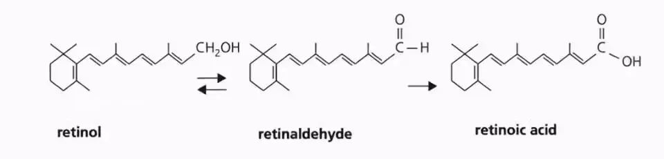 Hydroxypinacolone-Retinoate-gt.gif