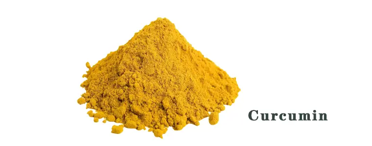 Curcumin-v.gif