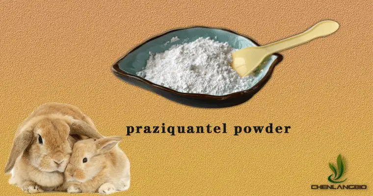 praziquantel-powder.gif