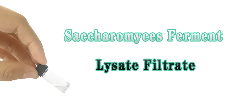 Saccharomyces-Ferment-Lysate-Filtrate.gif