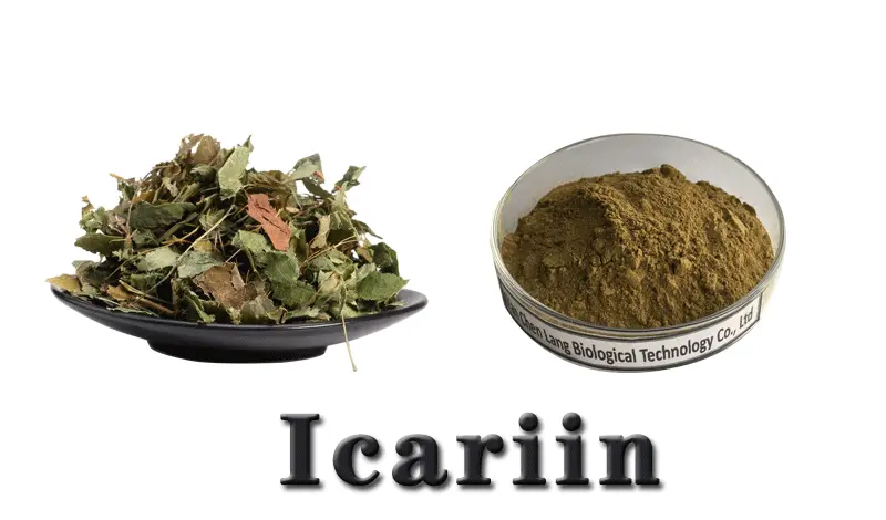 Icariin-powder.gif