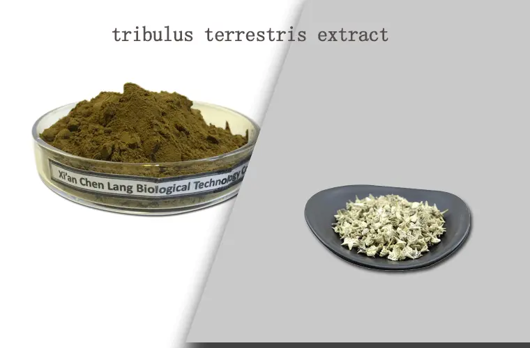 tribulus-terrestris-extrac.gif