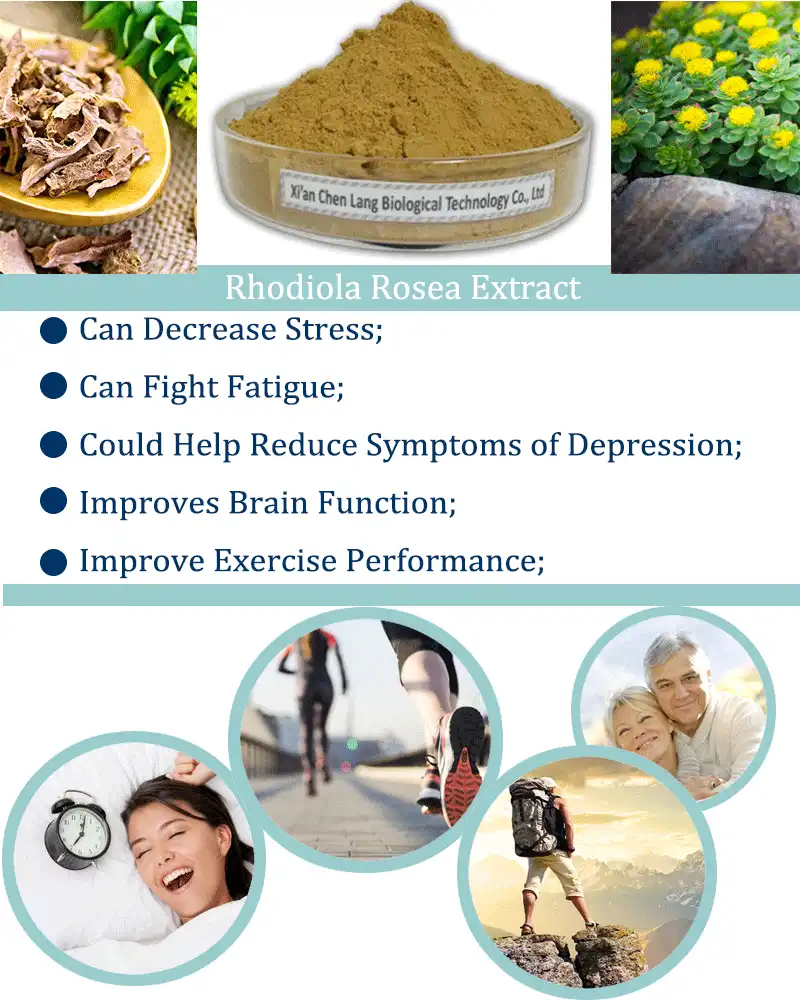 Rhodiola-Rosea-Extr.gif