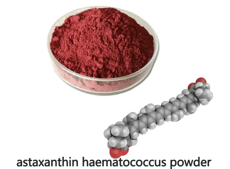 astaxanthin-haematococcus-powd.gif