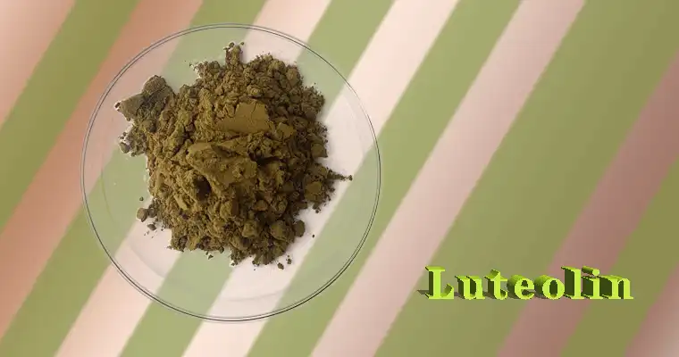 Luteolin-powder.gif