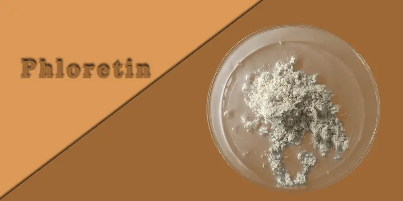 Phloretin-powder.gif