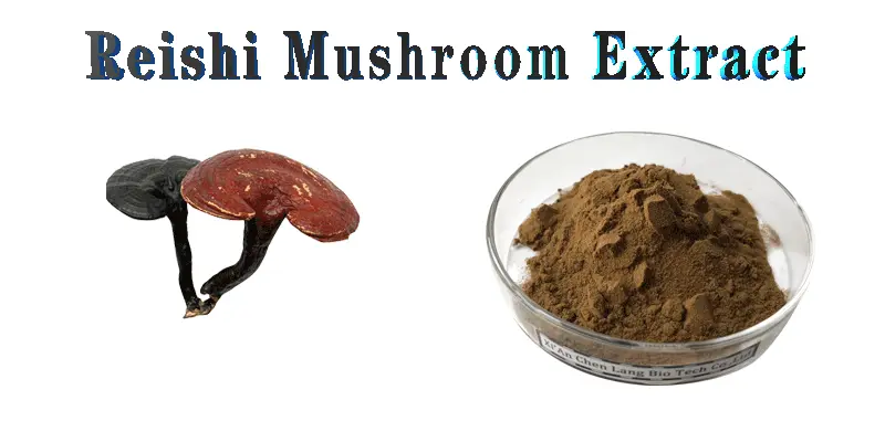 Reishi-Mushroom-Extract.gif