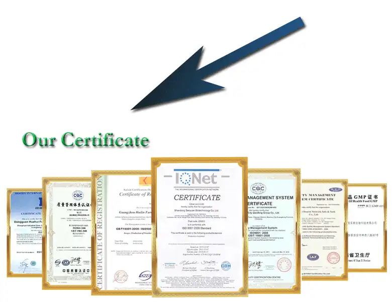 Certification.gif