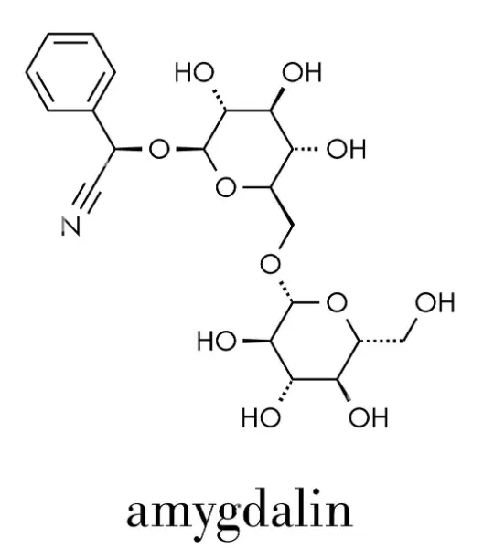 Amygdalin.webp