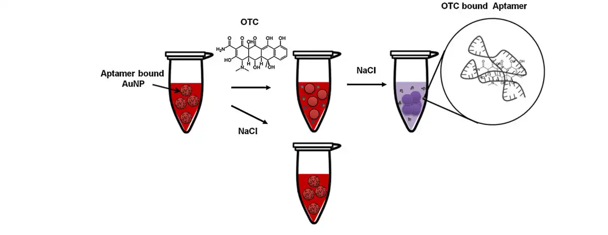 Oxytetracycline.jpg