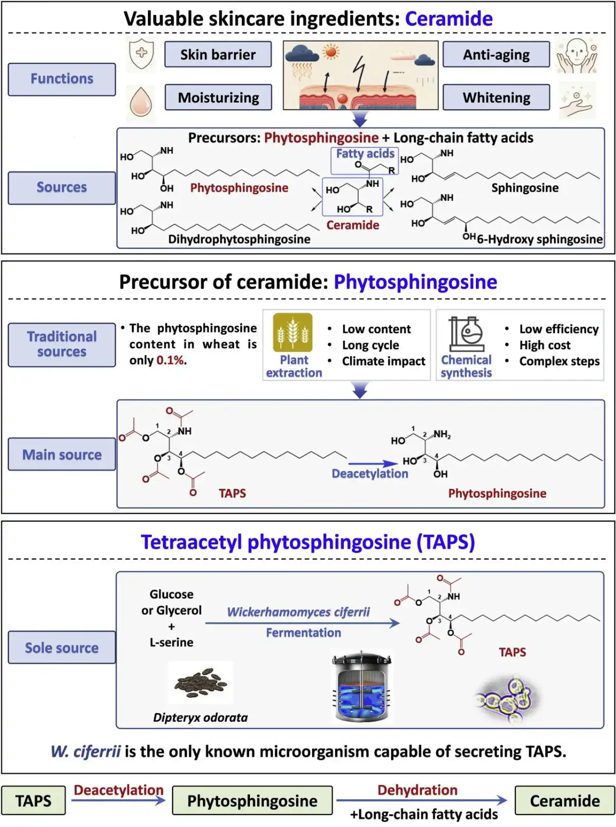 Phytosphingosine.jpg