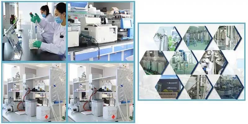 factory21.jpg factory21.jpg