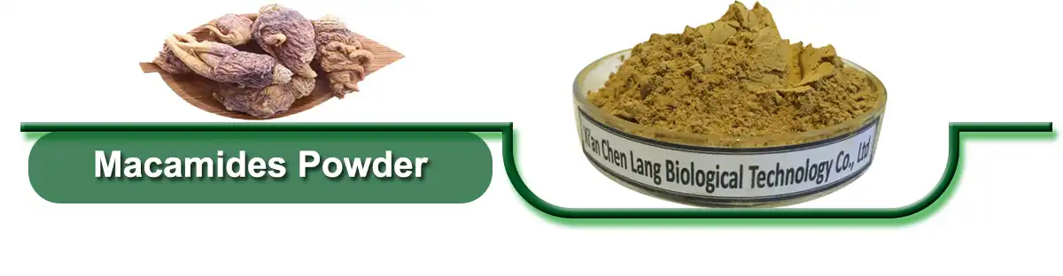 Macamides.jpg Macamides.jpg