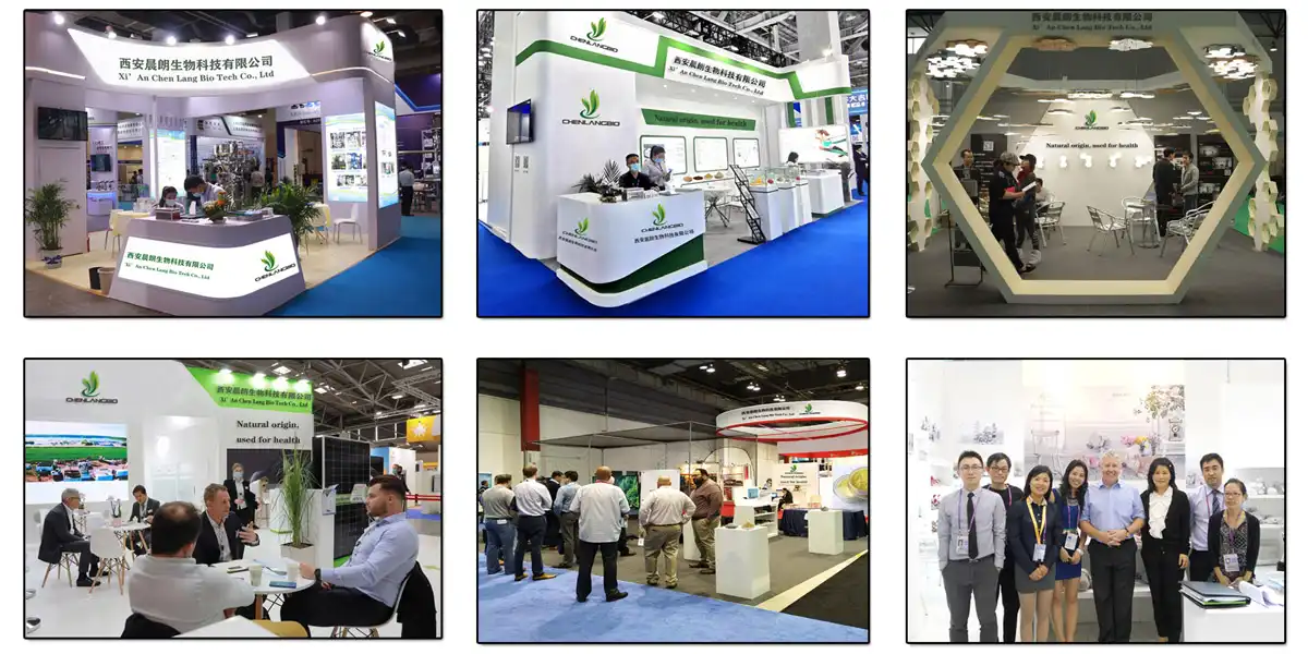 Exhibition.jpg Exhibition.jpg