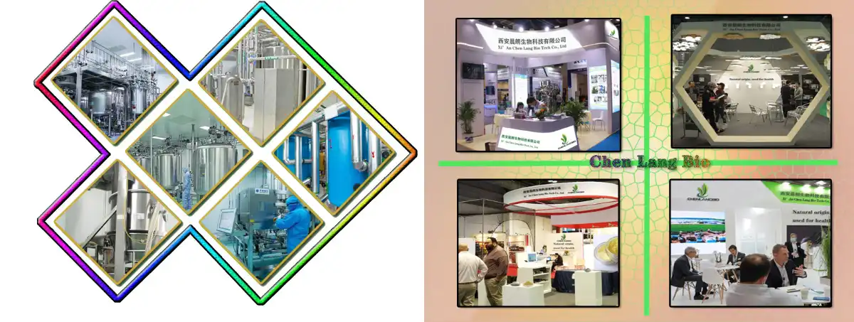 factory37.jpg factory37.jpg