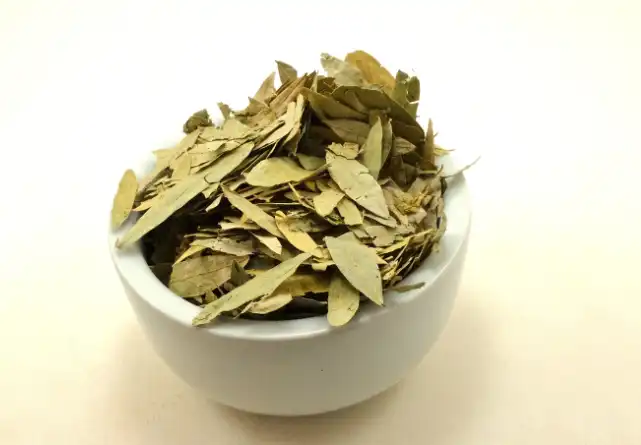 Senna-Leaf-Extract-Powder-Manufacturers