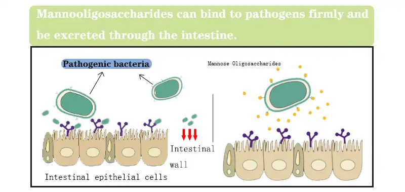 product-1-1 product-1-1