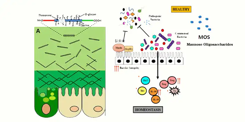 product-1-1 product-1-1