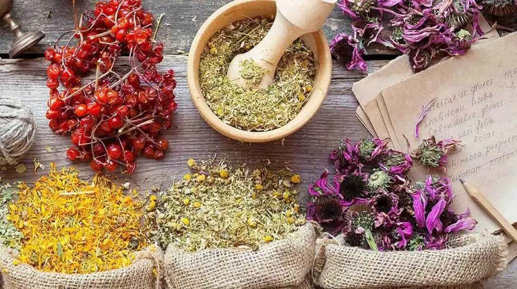 plant-extract-powder plant-extract-powder