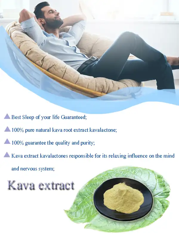 kava-extract-powder