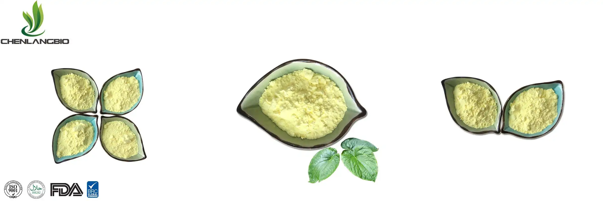 kava-extract-powder-supplier