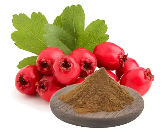 Hawthorn-Leaf-extract-powder