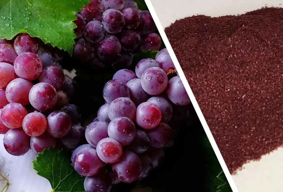 red-grape-extract-powder-for-sale red-grape-extract-powder-for-sale