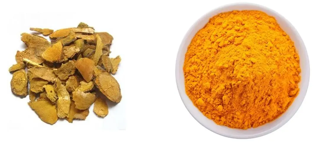 Polygonum-Cuspidatum-Root-Extract-Emodin