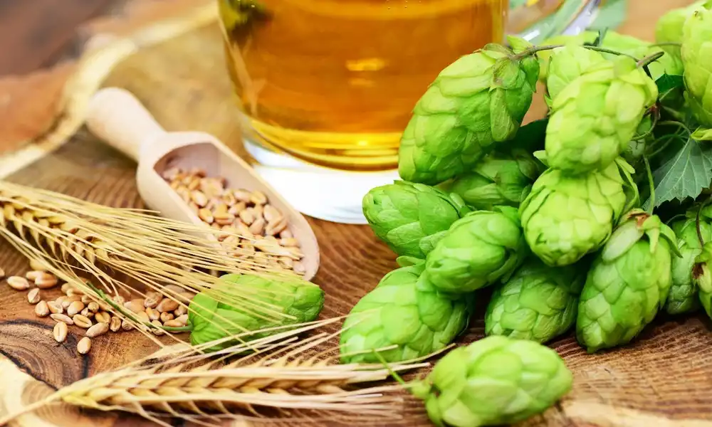 Hops-Flavonoids-supplier