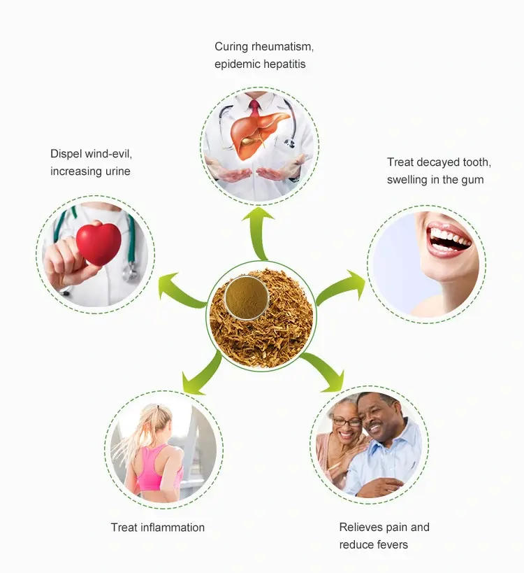 Willow-Bark-Extract-Salicin-benefits