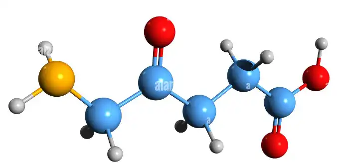 5-Aminolevulinic-Acid-structure