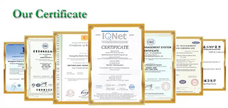 International-certifications