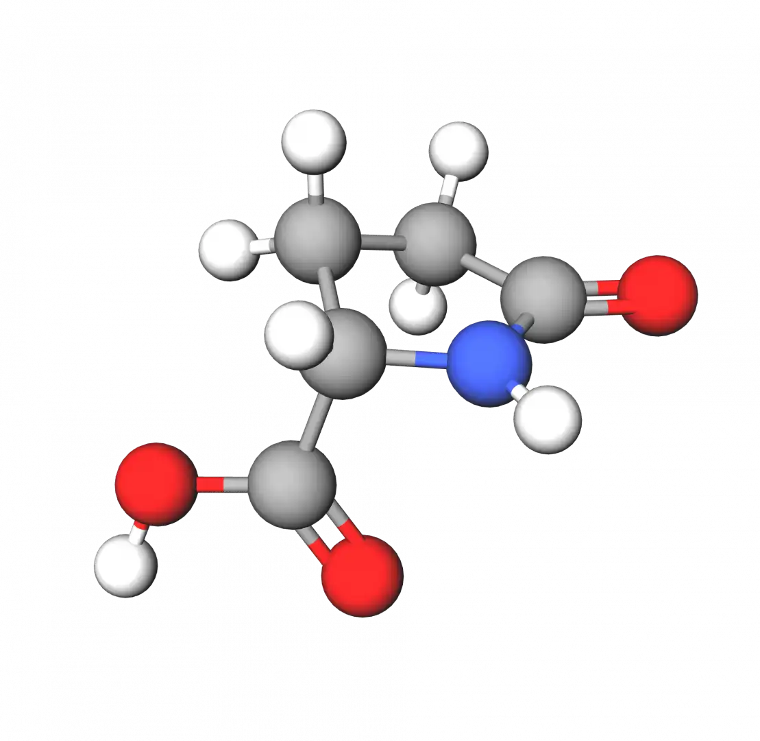 Copper-pyrrolidone-carboxylate-structure