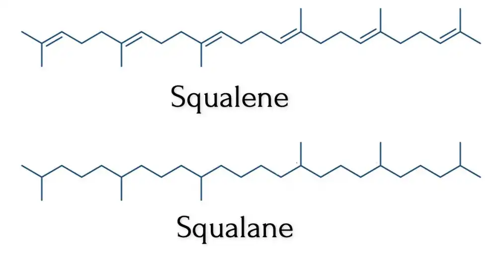 Difference-between-Squalene-and-Squalane-chemical-structures