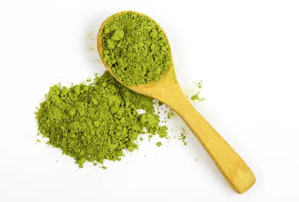 Green-tea-extract-powder-beneftis