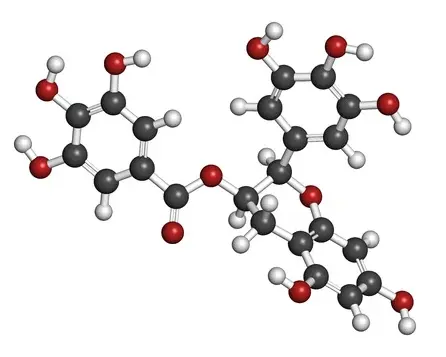 EGCG