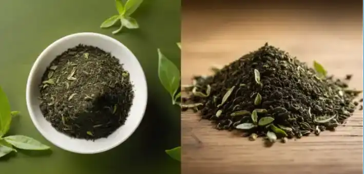 Green Tea Extract EGCG Powder Green Tea Extract EGCG Powder