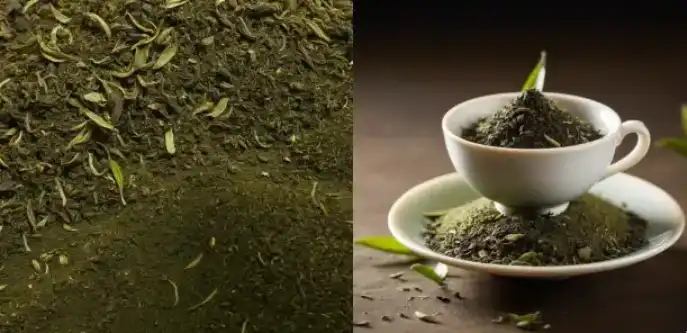 green-tea-extract-supplier